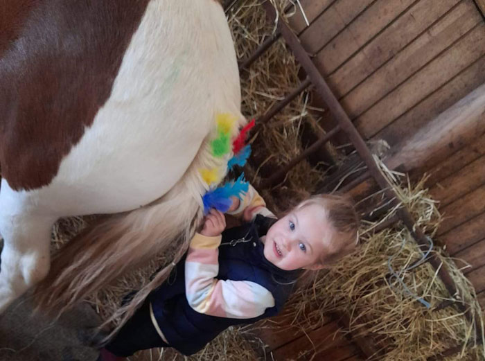 Poney club proche de Albi